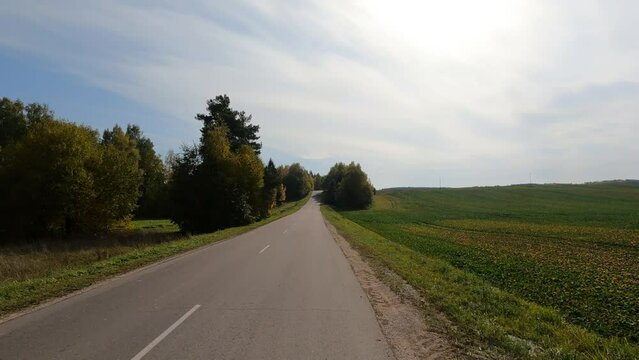 Road view on a summer day. Highways and cars, roadside and white road line markings.
