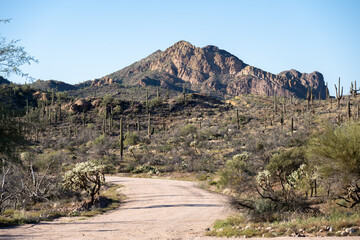 A dirt road leading to the Superstition Mountains located outside of Phoenix Arizona