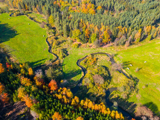 Narrow creek meanders in autumnal landscape from above