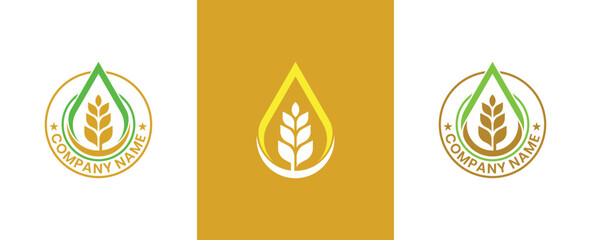 Water Drop with Leaf and Plant Tree Stamp Badge Logo Concept icon sign symbol Element Design. Herbal, Natural, Ecology, Health Care Logotype. Vector illustration template