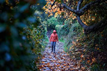 Obraz premium Woman walking in the field mountain