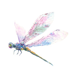 Hand drawn watercolor illustration of purple dragonfly isolated on white background.