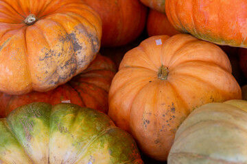 Closeup of Pumpkin Varieties for Sale at a Roadside Farm Stand in October