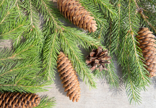 Beatiful art winter nature background with coniferous plants, pine cones, zinnia, conifer on a vintage rustic wooden background Christmas  decoration concept. Happy New Year, Merry Christmas template