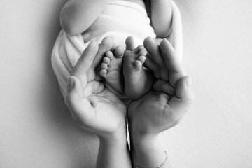 Parents' palms. Father and mother hold the legs of a newborn baby. Feet of a newborn in the hands...