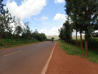 Fototapeta premium road in the countryside