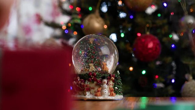 Christmas snow globe toy against Christmas tree.