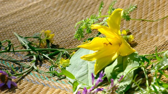 Summer scene, meadow flowers on bamboo mat ,rug. Relaxing in the shade, enjoying nature