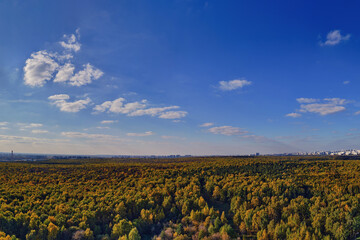 Autumn forest with yellow trees and the city in the distance, panorama view from above