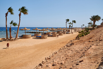 beach with palm trees and umbrellas in Egypt