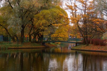 autumn in the park