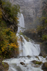 waterfall with a silky effect, a large flow of water with trees and bushes in autumn tones