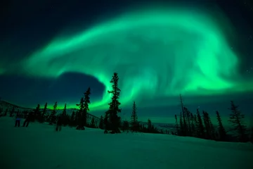 Fotobehang Ijsbeer Polar bears Aurora borealis in the sky  © Suchada