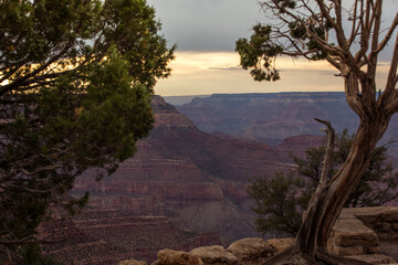 grand canyon national park