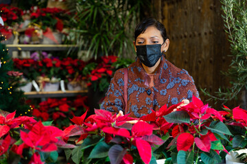 Latino american woman in mask buying christmas flower poinsettia foliage at floral shop
