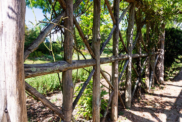 close-up of an old wooden pergola with green plants. Fastening and crossing wooden logs.