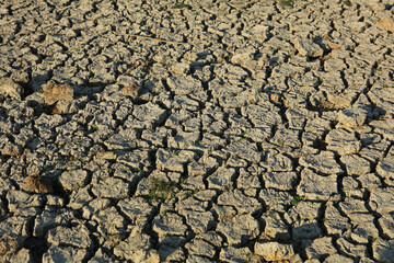 Drought in Lac De Grand Lieu, Loire valley, Brittany, France