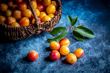 Panier de mirabelles
