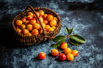 Panier de mirabelles