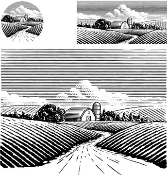 Vintage Farm Scene Illustration.  Hand Drawn Illustration In A Vintage Woodcut Or Etched Style.  The Illustration Is Of A Old Country Road Winding Between Fields To A Barn And Silo Surrounded By Trees