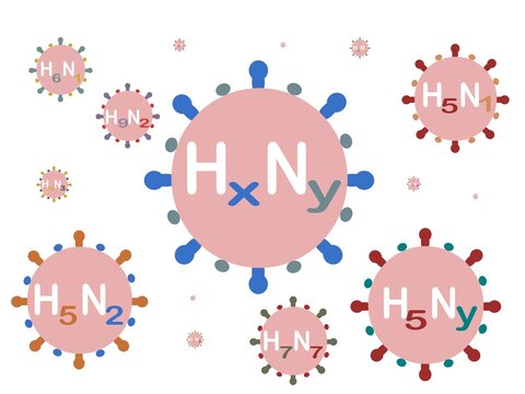 NEW MUTAN Avian Influenza Virus Subtype HxNy, outbreaks, diseases, genetics, mutations, vaccinations