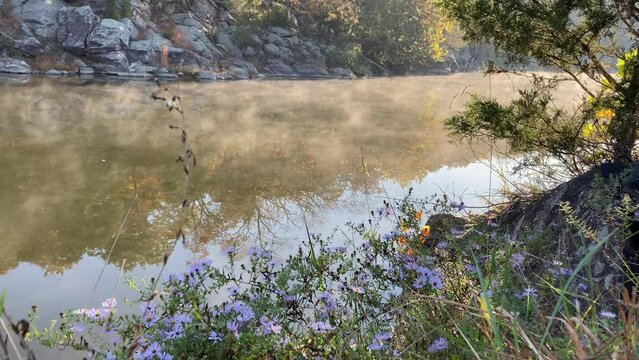 morning moving fog along the Potomac River