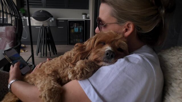 Female pet owner cuddling sick or tired Cavapoo dog, scrolling on a smartphone.