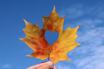 Fall leaf held in hand with heart cut out on beautiful fall day with blue sky