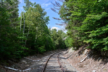 Unused railroad tracks in the trees in rural NH.