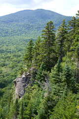 Rock cliff and trees at Mount Pemigewasset (Indian Head) in Franconia Notch in the White Mountains of NH