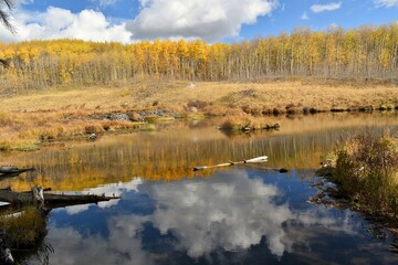 Autumn color reflection on a pond