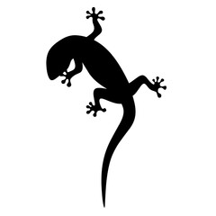 Vector illustration of a lizard on a white background. Silhouette of lizard animal reptile eating insect.