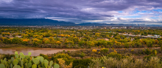 Rio Grand River autumn landscape with colorful cottonwood trees and dramatic purple stormy clouds over Albuquerque skyline, New Mexico, USA - obrazy, fototapety, plakaty