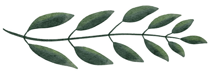 Watercolor green leaves