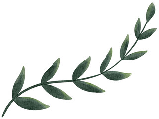 Watercolor green leaves