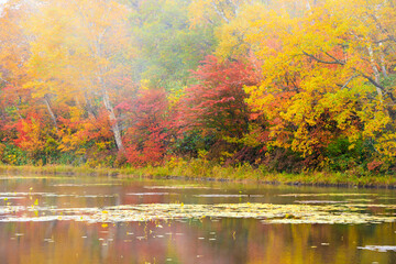 autumn landscape with lake