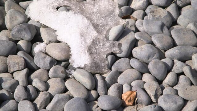 Snow melting over pebbles, autumn leaf, shadow over, morning light.