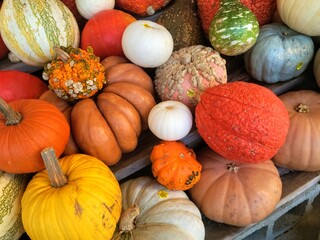 pumpkins and gourds