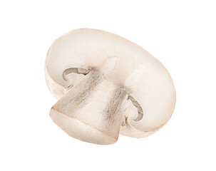 Mushroom champignon isolated on transparent png