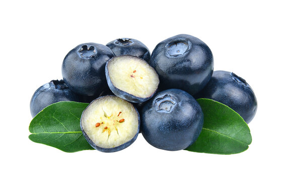 Blueberry collection isolated on transparent png