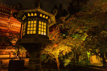 Fototapeta premium Night fall landscape in the Zenrin-ji Temple