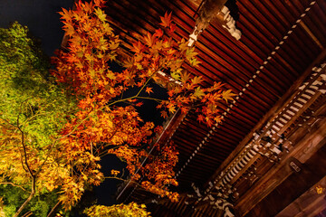 Night fall landscape in the Zenrin-ji Temple