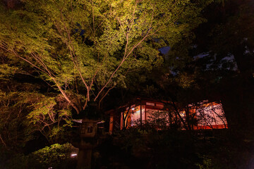 Night view of the landscape in Shoren-in