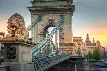 Fototapeta premium Lion and the chain bridge at dramatic sunrise in Budapest, Hungary
