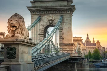 Foto auf Acrylglas Lion and the chain bridge at dramatic sunrise in Budapest, Hungary © Aide