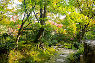 Beautiful fall color in the Jojakko-ji Temple