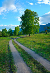 Fototapeta na wymiar A field road in a mountain valley