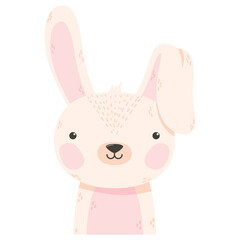 cute rabbit animal