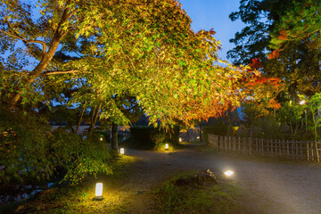 Obraz premium Night view of the fall color in Daikaku Ji