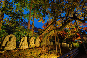 Night view of the fall color in Daikaku Ji